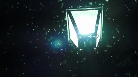 Insects 動画素材 7749672