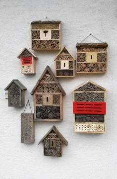 Insects-Hotels Group Foto stock