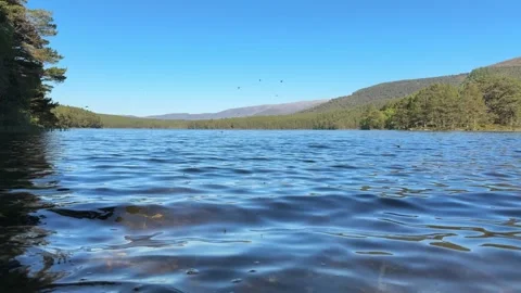 Insects hovering over rippling water of Scottish loch in summer Stock Footage 327856131