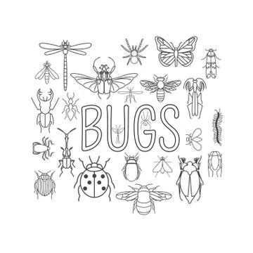 Insects icon flat style. 24 pieces in set. Outline version Stock Illustration
