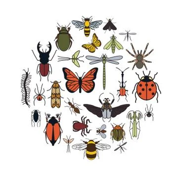 Insects icon flat style. 24 pieces in set. Colour version Stock Illustration