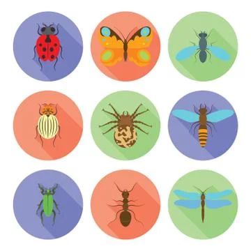 Insects icons vector flat style isolated on white background. Stock Illustration