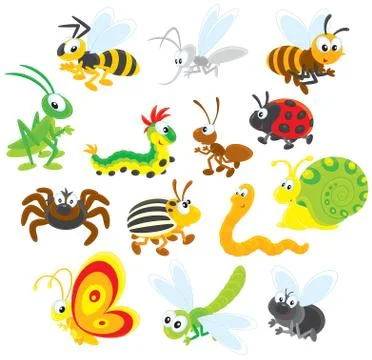 Insects Stock Illustration