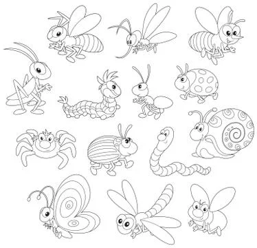 Insects Stock Illustration