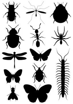 Insects Stock Illustration