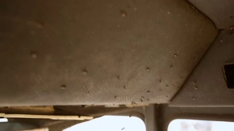 Insects inside a bulldozer at the landfill Stockbeeldmateriaal 76200649