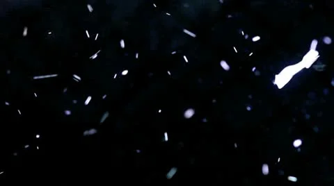 Insects light Video stock 9047447