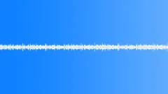 Insects movement Loop Sound Effect