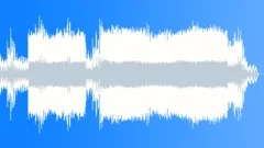 Insects Stock Music