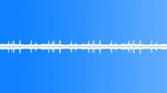 Insects at night, loopable Sound Effect