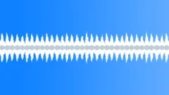 Insects at night time, loopable Sound Effect