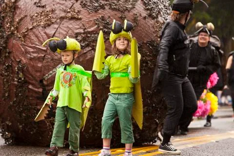Insects on parade Stock Photos