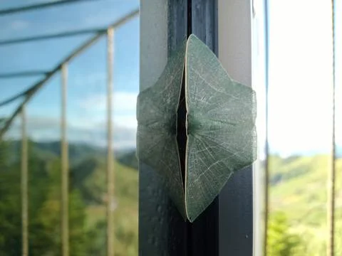 Insects Stock Photos