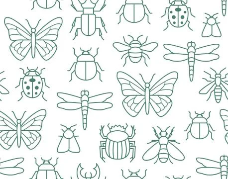 Insects seamless pattern with flat line icons. Background - butterfly, bug, dung Illustrazione stock