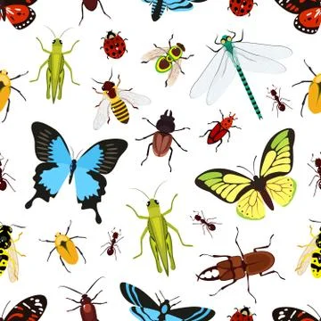 Insects seamless pattern Stock Illustration