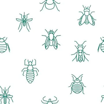 Insects seamless pattern Stock Illustration