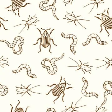 Insects seamless pattern on white background Stock Illustration