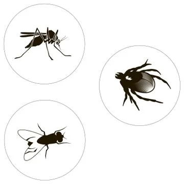 Insects Set Including Bug, Fly And Mosquito. Stock Illustration