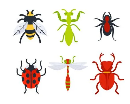 Insects set on white background. Ladybug and spider, mosquito. Stock-Illustration