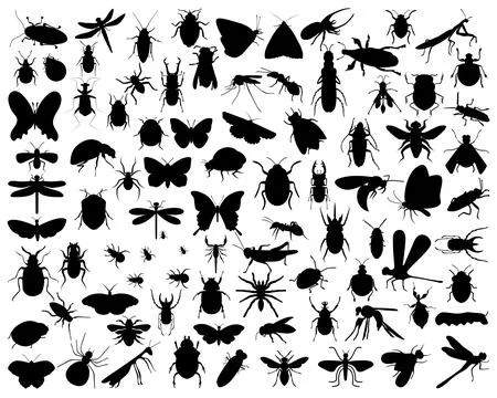 INSECTS SILHOUETTE VECTOR ART Stock Illustration