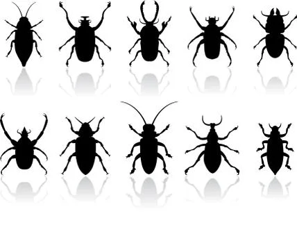 Insects silhouettes set Stock Illustration