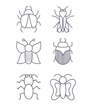 Insects small animals in thin line style icons Stock Illustration