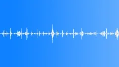 Insects Sound Effect