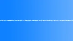 InsectsSound Effect