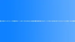Insects Sound Effect