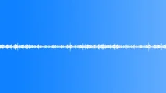 Insects Sound Effect