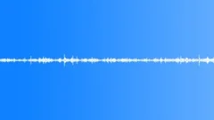 Insects Sound Effect