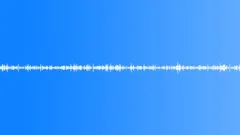 Insects Sound Effect