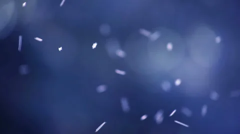 Insects swarm in blue Stock Footage 1001298