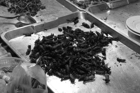 Insects on a Thaimarket Foto stock