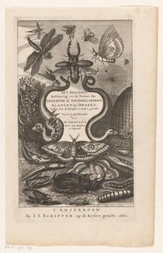 Insects; Title page for: John Jonston and Matthias Graus, description of t... Stock Photos
