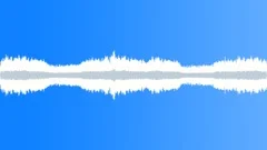 Insects Tropical 5 Sound Effect