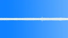 Insects Various Early Morning Night Ambience Calm Quiet Crickets Insec Sound Effect