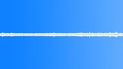 Insects Various Early Morning Night Ambience Calm Quiet Crickets Insec Sound Effect
