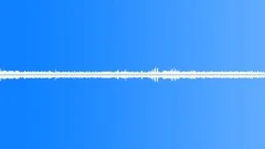 Insects Various Early Morning Night Ambience Calm Quiet Crickets Insec Sound Effect
