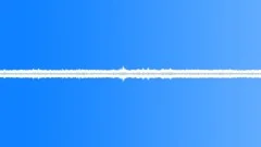 Insects Various Early Morning Night Ambience Calm Quiet Crickets InsecSound Effect