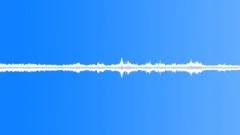 Insects Various Early Morning Night Ambience Crickets Insects Cicadas Sound Effect