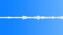 Insects Various Early Morning Night Ambience Crickets Insects CicadasSound Effect