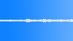 Insects Various Early Morning Night Ambience Crickets Insects CicadasSound Effect