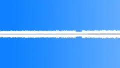 Insects Various Early Morning Night Ambience Crickets Insects CicadasSound Effect