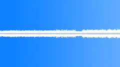 Insects Various Early Morning Night Ambience Crickets Insects CicadasSound Effect