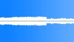 Insects Various Early Morning Night Ambience Crickets Insects CicadasSound Effect