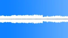 Insects Various Early Morning Night Ambience Crickets Insects CicadasSound Effect