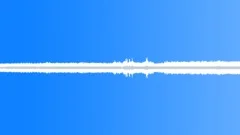 Insects Various Early Morning Night Ambience Crickets Insects CicadasSound Effect