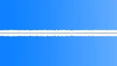 Insects Various Early Morning Night Ambience Crickets Insects Cicadas Sound Effect
