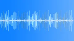 InsectVoiceChirp BU01.380 Sound Effect